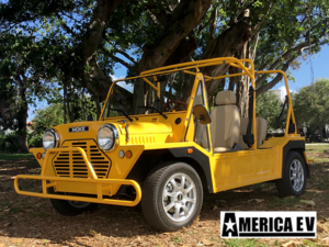 golf cart financing, riviera beach golf cart financing, easy cart financing